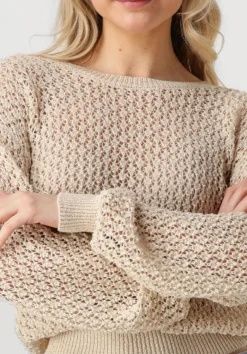 DAMES AAIKO trui jaylee co 460