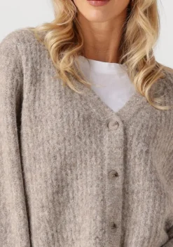 DAMES CO'COUTURE vest charlie v cardigan