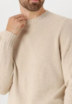 Heren FILIPPO DE LAURENTIIS trui g.collo ml lana cashmere