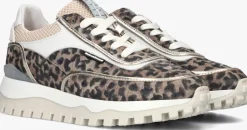 DAMES FLORIS VAN BOMMEL lage sneakers sfw-10131 grommi