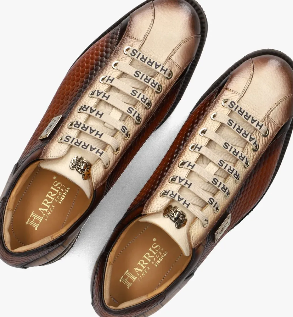 Heren HARRIS lage sneakers 0818