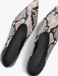 DAMES TORAL ballerina's aria