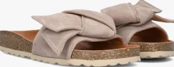 DAMES VERBENAS slippers rani