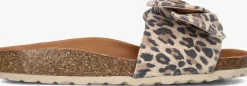 DAMES VERBENAS slippers rani