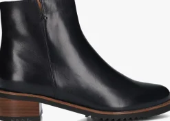 DAMES EVERYBODY e enkellaarsjes belport