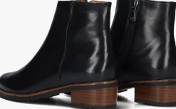 DAMES EVERYBODY e enkellaarsjes belport