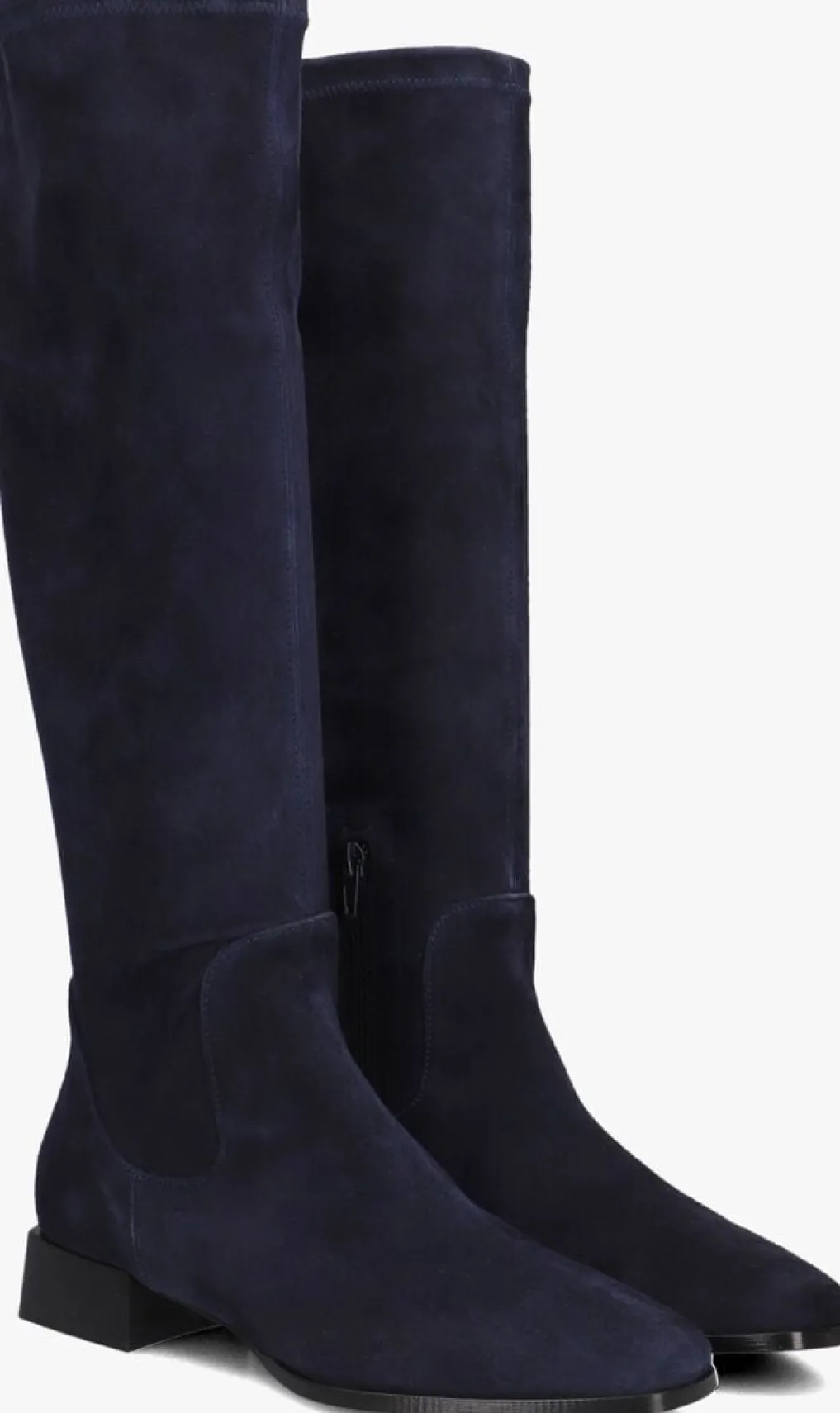 DAMES STEFANO LAURAN e hoge laarzen 15180