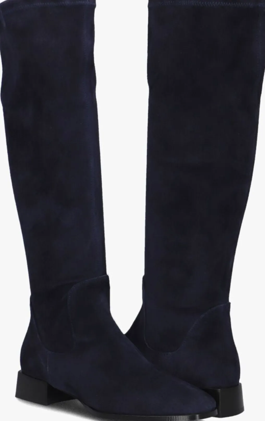 DAMES STEFANO LAURAN e hoge laarzen 15180