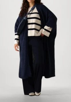 DAMES VANESSA BRUNO e schoudertas sac banane