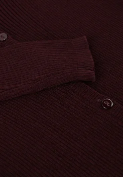 DAMES HERSKIND trui chichi knmit cardigan 5619106