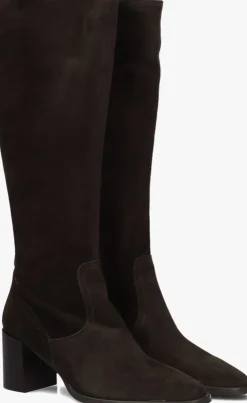 DAMES BLASZ e hoge laarzen 106