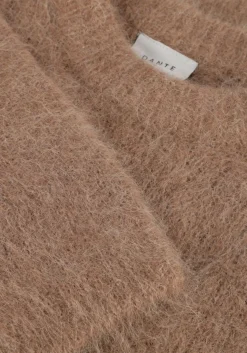 DAMES DANTE6 e trui addax crewneck sweater