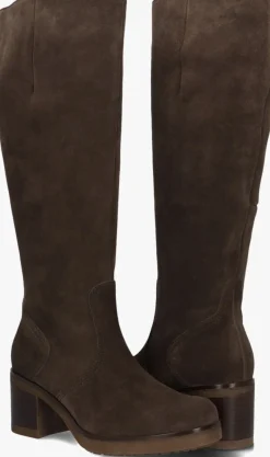 DAMES GABOR e hoge laarzen 857