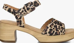 DAMES GABOR e sandalen met hak 721.1.0