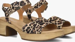 DAMES GABOR e sandalen met hak 721.1.0