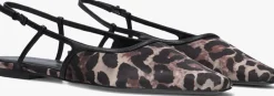 DAMES KENNEL & SCHMENGER e slingbacks 12100