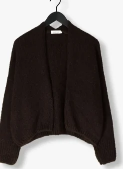 DAMES KNIT-TED e vest becky