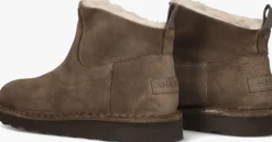 DAMES SHABBIES e enkelboots palissa