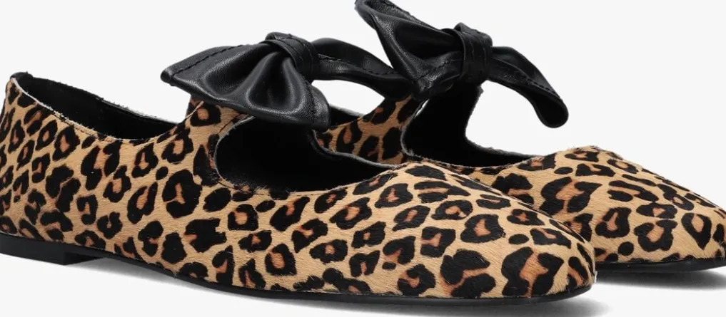 DAMES STEFANO LAURAN e ballerina's bailarina lazo