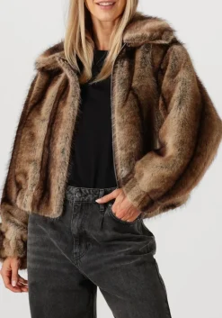 DAMES STUDIO AR e jassen lucy