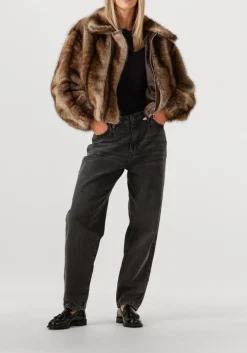 DAMES STUDIO AR e jassen lucy