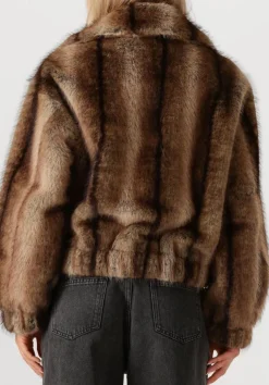 DAMES STUDIO AR e jassen lucy