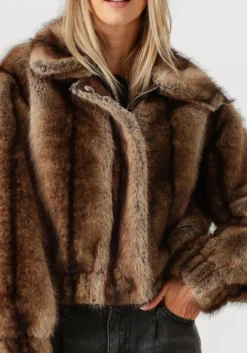 DAMES STUDIO AR e jassen lucy