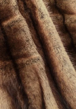 DAMES STUDIO AR e jassen lucy