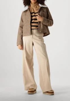 DAMES SUNCOO e jack eden