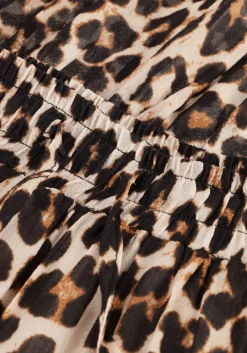 DAMES SUNCOO e midirok fado