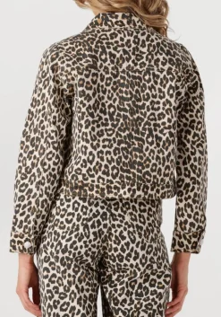 DAMES SUNCOO e spijkerjas djack