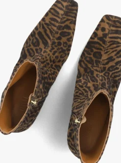 DAMES TORAL e enkellaarsjes erica