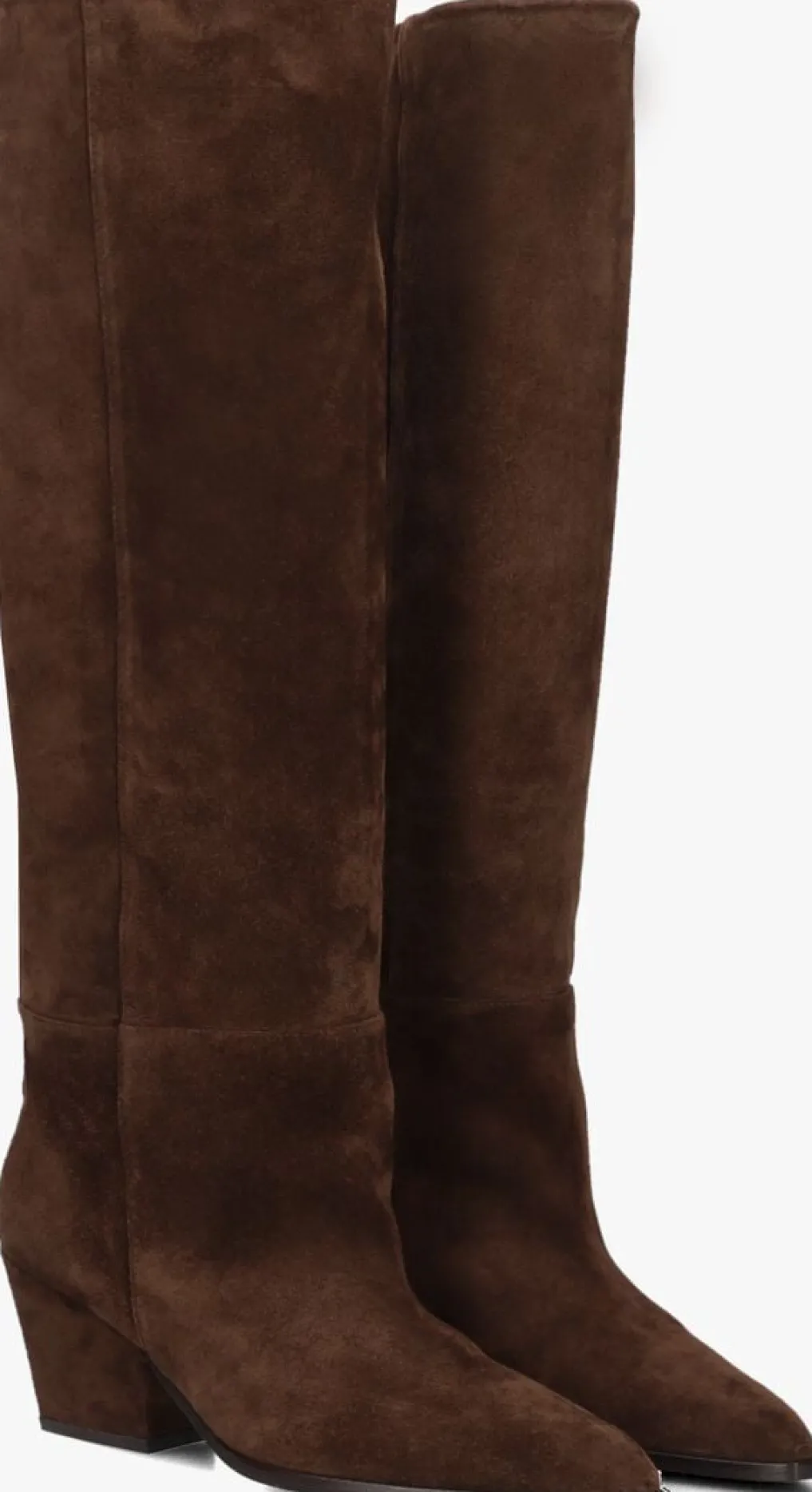 DAMES TORAL e hoge laarzen dakota