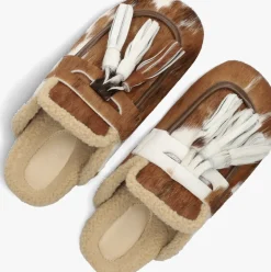 DAMES TORAL e instappers ariana