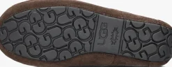 Heren UGG e pantoffels ascot