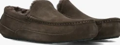 Heren UGG e pantoffels ascot