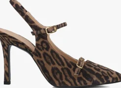 DAMES UNISA e slingbacks tulare