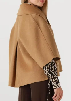 DAMES ALTER EGO jack lodé