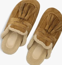 DAMES TORAL instappers ariana