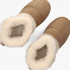 DAMES UGG enkelboots classic chillapeak