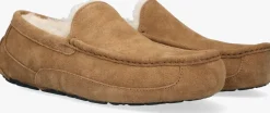 Heren UGG pantoffels ascot