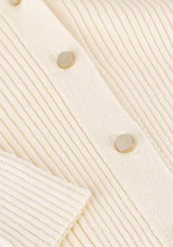 DAMES BRUUNS BAZAAR vest gallberry carica knit cardigan