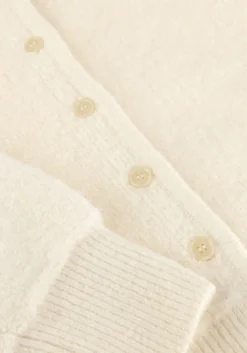 DAMES DES PETITS HAUTS vest cumin