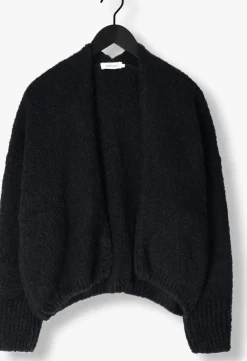 DAMES KNIT-TED e vest becky