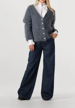 DAMES AMAYA AMSTERDAM donkergrijze vest roos knitwear