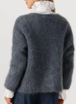 DAMES AMAYA AMSTERDAM donkergrijze vest roos knitwear