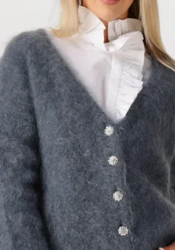 DAMES AMAYA AMSTERDAM donkergrijze vest roos knitwear