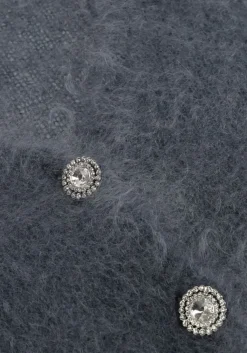 DAMES AMAYA AMSTERDAM donkergrijze vest roos knitwear