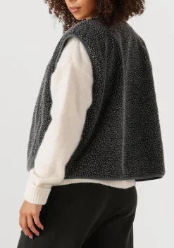 DAMES AMERICAN VINTAGE donkergrijze gilet hoktown