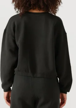 DAMES AMERICAN VINTAGE donkergrijze sweater izubird d